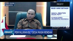 Penyaluran BLT Desa Masih Rendah, Ini Jawaban Wamen Desa PDTT