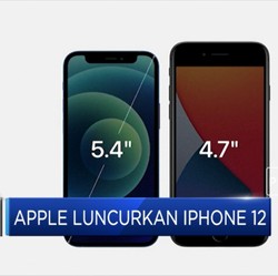 Apple Resmi Luncurkan IPhone 12, Begini Penampakannya