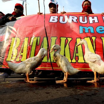 Potret Demo Buruh Tolak Omnibus Law Bawa Bebek, Maksudnya?
