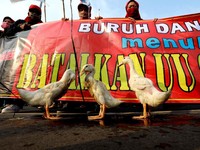 Potret Demo Buruh Tolak Omnibus Law Bawa Bebek, Maksudnya?