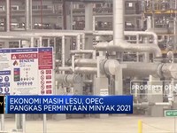 Ekonomi Lesu, OPEC Pangkas Proyeksi Permintaan Minyak 2021