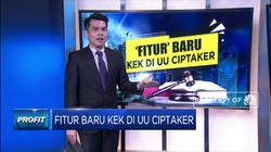 Fitur Baru Kawasan Ekonomi Khusus di UU Ciptaker