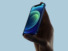 Prediksi JP Morgan: Produksi iPhone 12 Mini Disetop