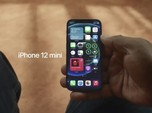iPhone 12 Kena Sindir: Mirip iPhone 5 dengan Kamera iPhone 11
