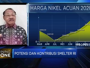 Polemik Harga Nikel, AP3I Sebut Hal Ini Sebagai Penyebabnya