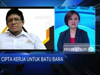 Uji Keekonomian Hilirisasi Batu Bara, Ini Pandangan Perhapi