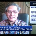 3 BUMN Bentuk Holding Indonesia Battery, Ini Peran PLN