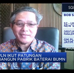 3 BUMN Bentuk Holding Indonesia Battery, Ini Peran PLN