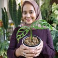Janda Bolong Lagi Hits, Ini Cara Bedakan yang Mahal & 'Palsu'