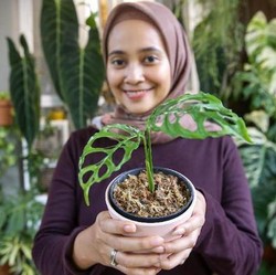 Janda Bolong Lagi Hits, Ini Cara Bedakan yang Mahal & 'Palsu'