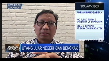 Capai 40% dari PDB, Ekonom: ULN Masuk Lampu Kuning