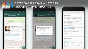 Catat Gaes! Pesan WhatsApp Bisa Terkirim Otomatis Lho