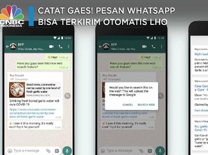 Catat Gaes! Pesan WhatsApp Bisa Terkirim Otomatis Lho