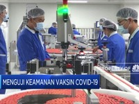 Menguji Keamanan Vaksin Covid-19