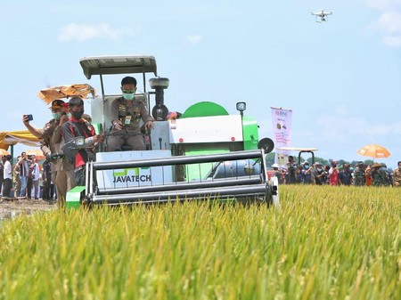 Kebal Corona Panen Padi Siak Riau Meningkat Dari Tahun Lalu<script async src=