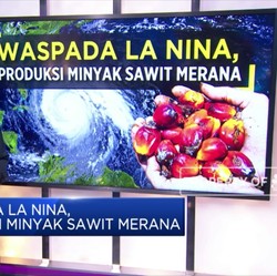 Waspada La Nina, Produksi Minyak Sawit Merana