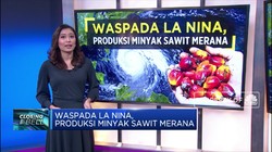 Waspada La Nina, Produksi Minyak Sawit Merana