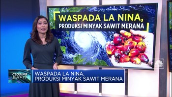 Waspada La Nina, Produksi Minyak Sawit Merana
