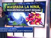 Waspada La Nina, Produksi Minyak Sawit Merana