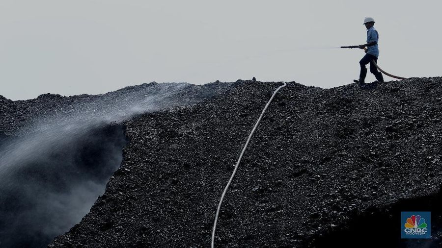 Aktivitas bongkar muat batubara di Terminal  Tanjung Priok TO 1, Jakarta Utara, Senin (19/10/2020). Dalam satu kali bongkar muat ada 7300 ton  yang di angkut dari kapal tongkang yang berasal dari Sungai Puting, Banjarmasin, Kalimantan. (CNBC Indonesia/Tri Susilo)  

Aktivitas dalam negeri di Pelabuhan Tanjung Priok terus berjalan meskipun pemerintan telah mengeluarkan aturan Pembatasan Sosial Bersekala Besar (PSBB) transisi secara ketat di DKI Jakarta untuk mempercepat penanganan wabah virus Covid-19. 

Pantauan CNBC Indonesia ada sekitar 55 truk yang hilir mudik mengangkut batubara ini dari kapal tongkang. 

Batubara yang diangkut truk akan dikirim ke berbagai daerah terutama ke Gunung Putri, Bogor. 

Ada 20 pekerja yang melakukan bongkar muat dan pengerjaannya selama 35 jam untuk memindahkan batubara ke truk. (CNBC Indonesia/ Tri Susilo)