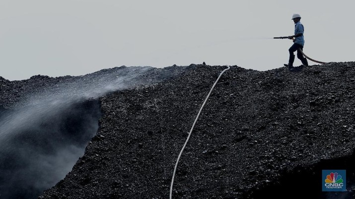 Aktivitas bongkar muat batubara di Terminal Tanjung Priok TO 1, Jakarta Utara, Senin (19/10/2020). Dalam satu kali bongkar muat ada 7300 ton yang di angkut dari kapal tongkang yang berasal dari Sungai Puting, Banjarmasin, Kalimantan. (CNBC Indonesia/Tri Susilo)
Aktivitas dalam negeri di Pelabuhan Tanjung Priok terus berjalan meskipun pemerintan telah mengeluarkan aturan Pembatasan Sosial Bersekala Besar (PSBB) transisi secara ketat di DKI Jakarta untuk mempercepat penanganan wabah virus Covid-19.
Pantauan CNBC Indonesia ada sekitar 55 truk yang hilir mudik mengangkut batubara ini dari kapal tongkang.
Batubara yang diangkut truk akan dikirim ke berbagai daerah terutama ke Gunung Putri, Bogor.
Ada 20 pekerja yang melakukan bongkar muat dan pengerjaannya selama 35 jam untuk memindahkan batubara ke truk. (CNBC Indonesia/ Tri Susilo)