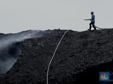 Proyek 'LPG Batu Bara' PTBA-Pertamina Disepakati, Apa Isinya?