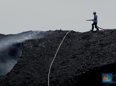 Banyak Kabar Suram Tapi Harga Batu Bara Tetap Membara