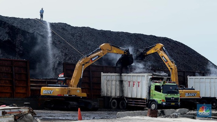 Bongkar Muat Batu bara di Terminal Tanjung Priok TO 1, Jakarta Utara. Aktivitas bongkar muat batubara di Terminal Tanjung Priok TO 1, Jakarta Utara, Senin (19/10/2020). Dalam satu kali bongkar muat ada 7300 ton yang di angkut dari kapal tongkang yang berasal dari Sungai Puting, Banjarmasin, Kalimantan. (CNBC Indonesia/Tri Susilo)
Aktivitas dalam negeri di Pelabuhan Tanjung Priok terus berjalan meskipun pemerintan telah mengeluarkan aturan Pembatasan Sosial Bersekala Besar (PSBB) transisi secara ketat di DKI Jakarta untuk mempercepat penanganan wabah virus Covid-19.
Pantauan CNBC Indonesia ada sekitar 55 truk yang hilir mudik mengangkut batubara ini dari kapal tongkang.
Batubara yang diangkut truk akan dikirim ke berbagai daerah terutama ke Gunung Putri, Bogor.
Ada 20 pekerja yang melakukan bongkar muat dan pengerjaannya selama 35 jam untuk memindahkan batubara ke truk. (CNBC Indonesia/ Tri Susilo)