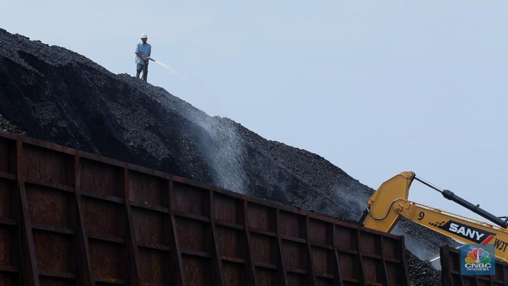 Bongkar Muat Batubara di Terminal Tanjung Priok TO 1, Jakarta Utara. Aktivitas bongkar muat batubara di Terminal Tanjung Priok TO 1, Jakarta Utara, Senin (19/10/2020). Dalam satu kali bongkar muat ada 7300 ton yang di angkut dari kapal tongkang yang berasal dari Sungai Puting, Banjarmasin, Kalimantan. (CNBC Indonesia/Tri Susilo)
Aktivitas dalam negeri di Pelabuhan Tanjung Priok terus berjalan meskipun pemerintan telah mengeluarkan aturan Pembatasan Sosial Bersekala Besar (PSBB) transisi secara ketat di DKI Jakarta untuk mempercepat penanganan wabah virus Covid-19.
Pantauan CNBC Indonesia ada sekitar 55 truk yang hilir mudik mengangkut batubara ini dari kapal tongkang.
Batubara yang diangkut truk akan dikirim ke berbagai daerah terutama ke Gunung Putri, Bogor.
Ada 20 pekerja yang melakukan bongkar muat dan pengerjaannya selama 35 jam untuk memindahkan batubara ke truk. (CNBC Indonesia/ Tri Susilo)