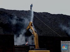 Ramai-Ramai Bos Batu Bara Klaim Kurangi Emisi Karbon