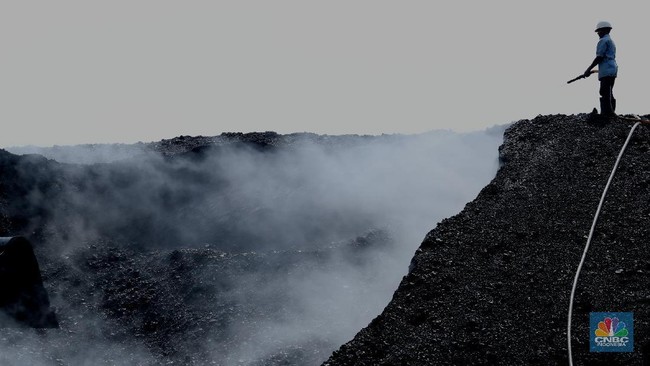 Pengusaha Batu Bara Pesta Pora Karena Trump, Harga Terbang 5 Hari