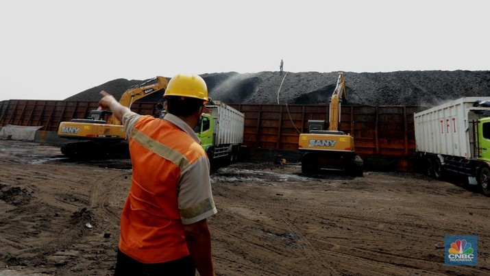 Bongkar Muat Batu bara di Terminal Tanjung Priok TO 1, Jakarta Utara. (CNBC Indonesia/ Tri Susilo) Aktivitas bongkar muat batubara di Terminal Tanjung Priok TO 1, Jakarta Utara, Senin (19/10/2020). Dalam satu kali bongkar muat ada 7300 ton yang di angkut dari kapal tongkang yang berasal dari Sungai Puting, Banjarmasin, Kalimantan. (CNBC Indonesia/Tri Susilo)
Aktivitas dalam negeri di Pelabuhan Tanjung Priok terus berjalan meskipun pemerintan telah mengeluarkan aturan Pembatasan Sosial Bersekala Besar (PSBB) transisi secara ketat di DKI Jakarta untuk mempercepat penanganan wabah virus Covid-19.
Pantauan CNBC Indonesia ada sekitar 55 truk yang hilir mudik mengangkut batubara ini dari kapal tongkang.
Batubara yang diangkut truk akan dikirim ke berbagai daerah terutama ke Gunung Putri, Bogor.
Ada 20 pekerja yang melakukan bongkar muat dan pengerjaannya selama 35 jam untuk memindahkan batubara ke truk. (CNBC Indonesia/ Tri Susilo)