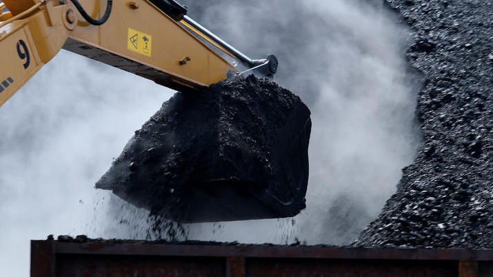 Bongkar Muat Batu bara di Terminal Tanjung Priok TO 1, Jakarta Utara. (CNBC Indonesia/ Tri Susilo) Aktivitas bongkar muat batubara di Terminal Tanjung Priok TO 1, Jakarta Utara, Senin (19/10/2020). Dalam satu kali bongkar muat ada 7300 ton yang di angkut dari kapal tongkang yang berasal dari Sungai Puting, Banjarmasin, Kalimantan. (CNBC Indonesia/Tri Susilo)
Aktivitas dalam negeri di Pelabuhan Tanjung Priok terus berjalan meskipun pemerintan telah mengeluarkan aturan Pembatasan Sosial Bersekala Besar (PSBB) transisi secara ketat di DKI Jakarta untuk mempercepat penanganan wabah virus Covid-19.
Pantauan CNBC Indonesia ada sekitar 55 truk yang hilir mudik mengangkut batubara ini dari kapal tongkang.
Batubara yang diangkut truk akan dikirim ke berbagai daerah terutama ke Gunung Putri, Bogor.
Ada 20 pekerja yang melakukan bongkar muat dan pengerjaannya selama 35 jam untuk memindahkan batubara ke truk. (CNBC Indonesia/ Tri Susilo)