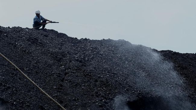 Crazy!  World Coal Prices Rally Continues, Translucent US $ 65 / ton