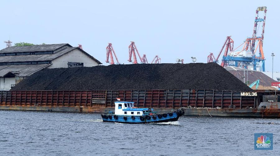 Aktivitas bongkar muat batubara di Terminal  Tanjung Priok TO 1, Jakarta Utara, Senin (19/10/2020). Dalam satu kali bongkar muat ada 7300 ton  yang di angkut dari kapal tongkang yang berasal dari Sungai Puting, Banjarmasin, Kalimantan. (CNBC Indonesia/Tri Susilo)  

Aktivitas dalam negeri di Pelabuhan Tanjung Priok terus berjalan meskipun pemerintan telah mengeluarkan aturan Pembatasan Sosial Bersekala Besar (PSBB) transisi secara ketat di DKI Jakarta untuk mempercepat penanganan wabah virus Covid-19. 

Pantauan CNBC Indonesia ada sekitar 55 truk yang hilir mudik mengangkut batubara ini dari kapal tongkang. 

Batubara yang diangkut truk akan dikirim ke berbagai daerah terutama ke Gunung Putri, Bogor. 

Ada 20 pekerja yang melakukan bongkar muat dan pengerjaannya selama 35 jam untuk memindahkan batubara ke truk. (CNBC Indonesia/ Tri Susilo)