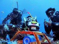 ESDM Lirik NTT untuk Pembangkit Listrik Tenaga Arus Laut