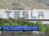 Wah! Tesla Dikabarkan akan Bangun Pabrik di Batang