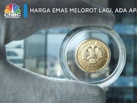 Duh...Harga Emas Melorot Lagi, Ada Apa Gerangan?