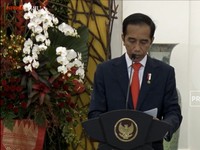 Jokowi Terima Surat Kepercayaan dari 7 Dubes, Siapa Saja?