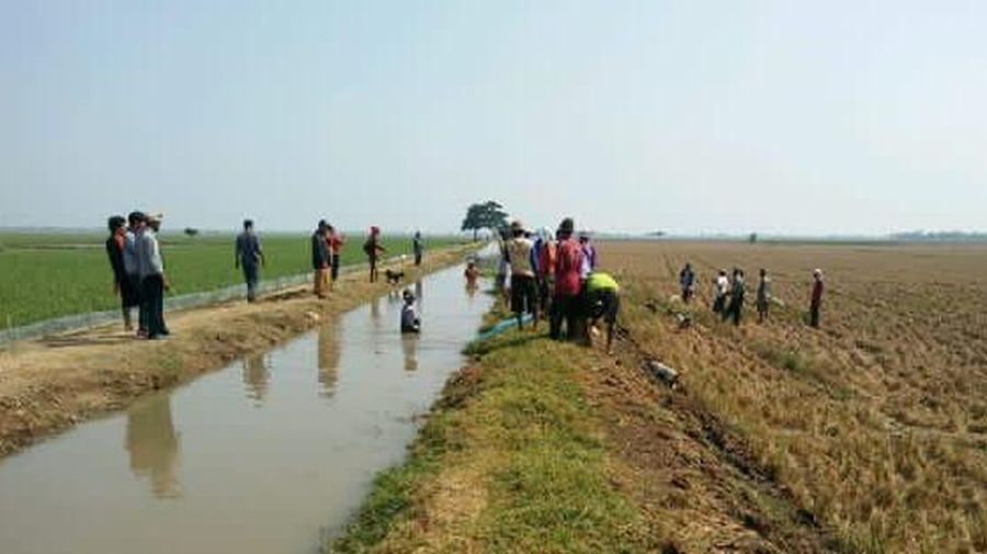 Sawah Kementan Dok. Kementan