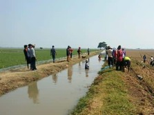 Startup Sayur dan Buah Tutup Layanan B2C, Kalah Saing?