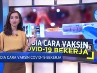 Menakar Kemanjuran Vaksin-19