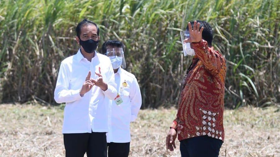 Presiden Joko Widodo Tinjau Pabrik Gula Haji Isam, Sulawesi Tenggara  (Biro Pers Sekretariat Presiden/Lukas)