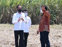 Puji Pabrik Gula Haji Isam, Jokowi: Ini Sebuah Keberanian!