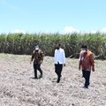 Rahasia Haji Isam Dari Supir Hingga Jadi Raja Batu Bara