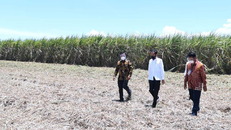Presiden Joko Widodo Tinjau Pabrik Gula Haji Isam, Sulawesi Tenggara  (Biro Pers Sekretariat Presiden/Lukas)