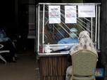 Catat! Ini Lokasi Suntik Vaksin Covid-19 di Indonesia