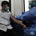 Prediksi Terbaru Kapan Pandemi Covid Berakhir & Hidup Normal