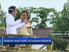 Prabowo Wanti-Wanti Ketahanan Pangan RI