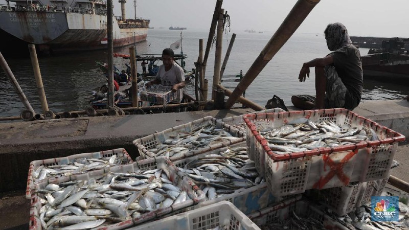 Pekerja mengangkat ikan asin di kawasan Cilincing, Jakarta Utara, Jumat (23/10). Memasuki musim penghujan dan isu Badai La Nina menjadi momok yang cukup mengkhawatirkan bagi nelayan. Menurut salah satu nelayan Ros mengatakan nelayan kerap mengalami masalah saat menjaring ikan di musim hujan. 